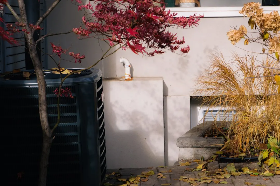 Standby generator maintenance in a San Francisco home